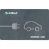 Cabur RFID kort for ladeboks