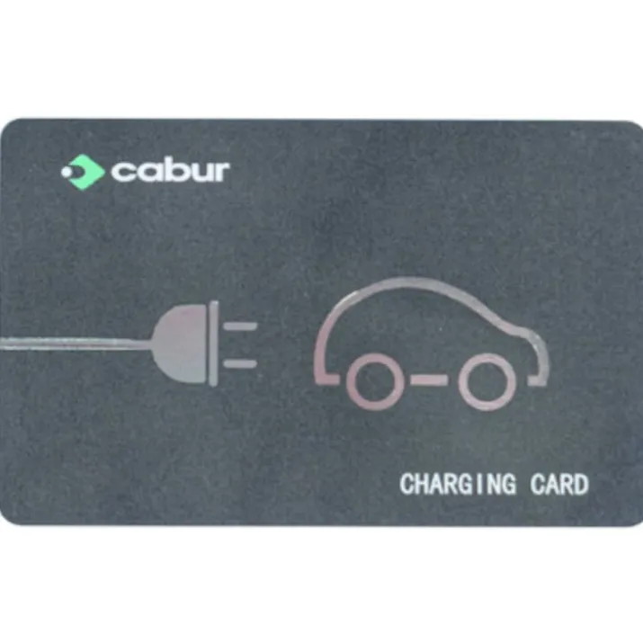 Cabur RFID kort for ladeboks