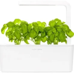 Click and Grow basilikum - 3 stk