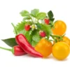 Click and Grow frugt- og grøntsagsmix - 9 stk