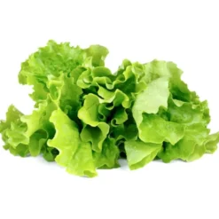 Click and Grow grøn salat - 3 stk