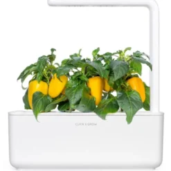 Click and Grow gul sød peber - 3 stk