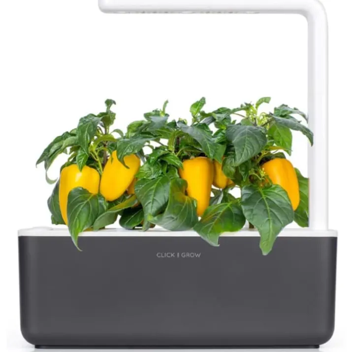 Click and Grow gul sød peber - 3 stk