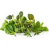 Click and Grow italienske krydderuter - 9 stk