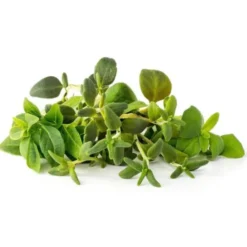Click and Grow italienske krydderuter - 9 stk