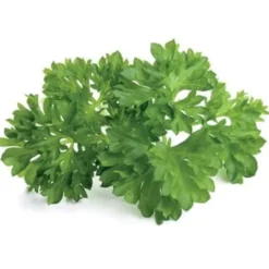Click and Grow persille - 3 stk