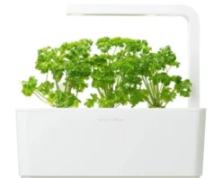 Click and Grow persille - 3 stk