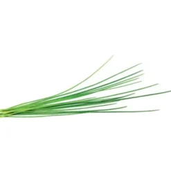 Click and Grow purløg - 3 stk