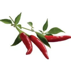 Click and Grow røde chili peber - 3 stk