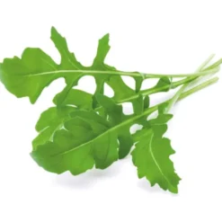Click and Grow rucola - 3 stk