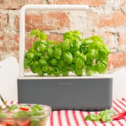 Click and Grow Smart Garden startsæt, grå