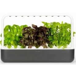 Click and Grow Smart Garden startsæt, grå