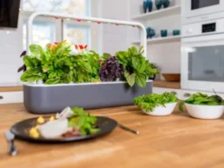 Click and Grow Smart Garden startsæt, hvid