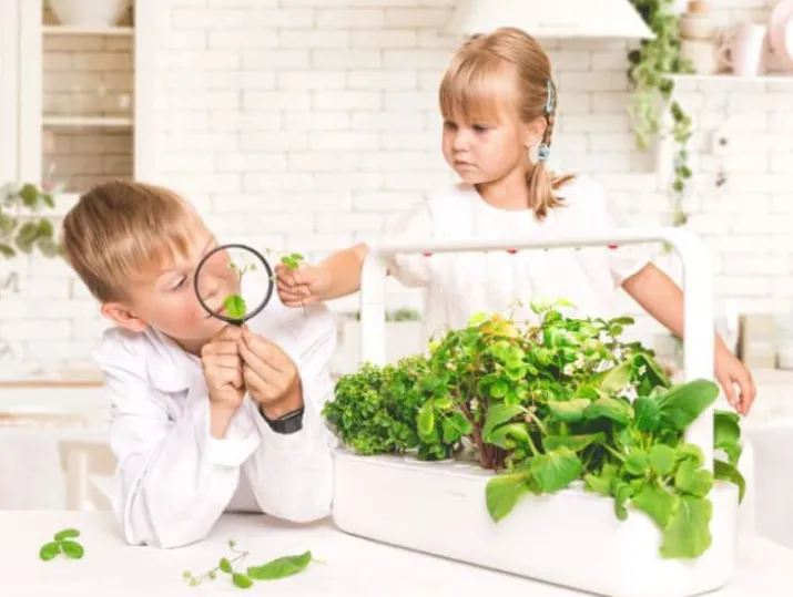 Click and Grow Smart Garden startsæt, hvid