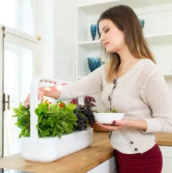 Click and Grow Smart Garden startsæt, hvid