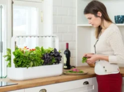 Click and Grow Smart Garden startsæt, hvid