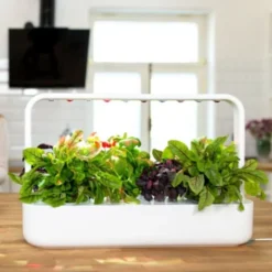 Click and Grow Smart Garden startsæt, hvid