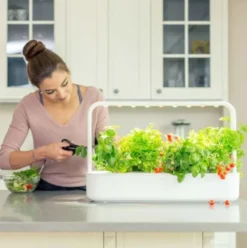 Click and Grow Smart Garden startsæt, hvid