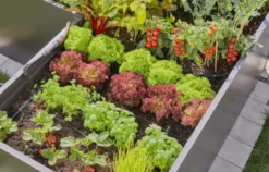 Gardena micro-drip højbedssæt til 35 planter