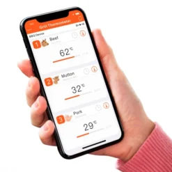 Grill'n'Go Master 5.0 stegetermometer