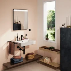 Hansgrohe Xarita Lite Q spejl med lys, 60x70 cm, sort