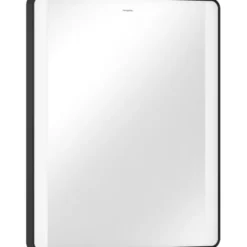Hansgrohe Xarita Lite Q spejl med lys, 60x70 cm, sort