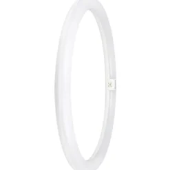 Ledvance Value T9 rundt lysstofrør, 24W, 6500K