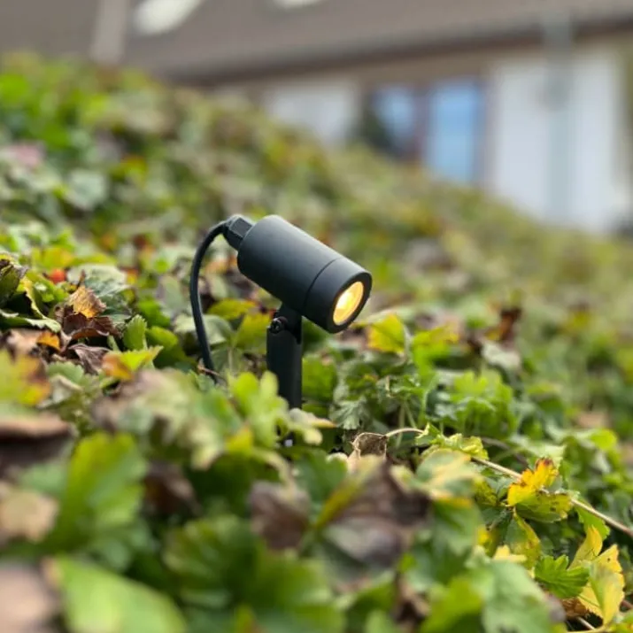 Light By Juul Juulie bedlampe, 3W