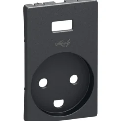 LK Fuga afdækning for stikkontakt med USB med jord, koksgrå