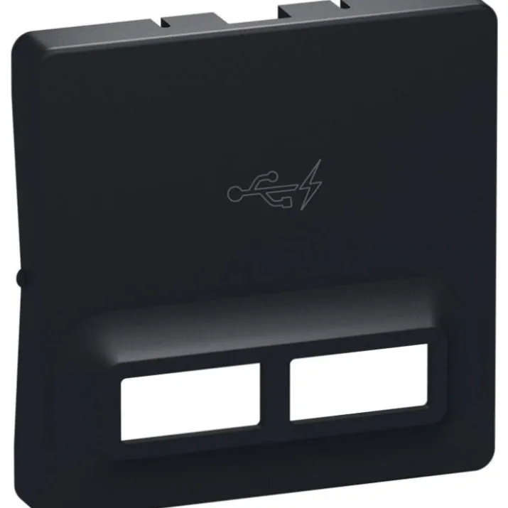 LK Fuga afdækning for 2 x USB-lader, 1 modul, koksgrå