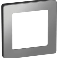 LK Fuga Pure 66 designramme, 1 modul, stål