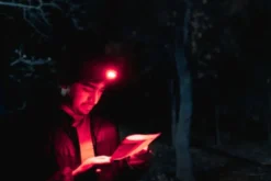 Nebo Einstein pandelampe