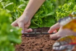 10 stk Gardena micro-drip T-stykke til sprøjtedyse 4,6