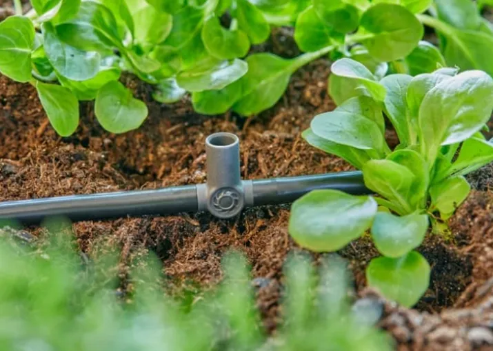 10 stk Gardena micro-drip T-stykke til sprøjtedyse 4,6
