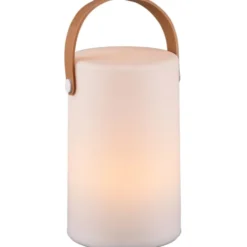 Trio Lighting Aruba genopladelig bordlampe